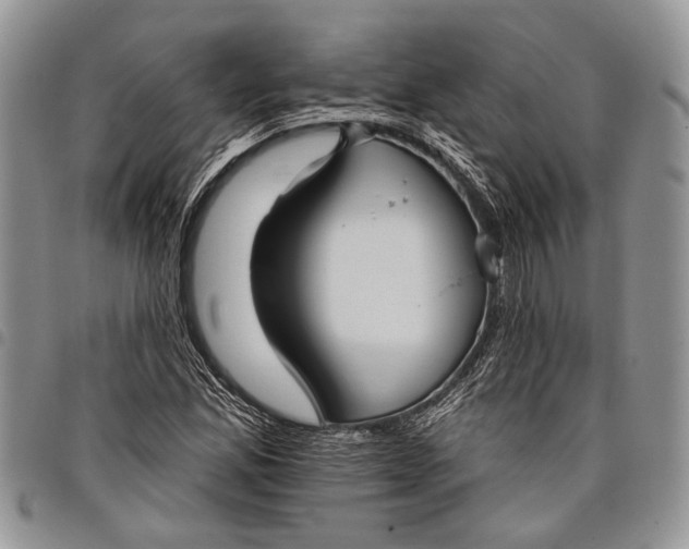 X0000097951165200804140956
