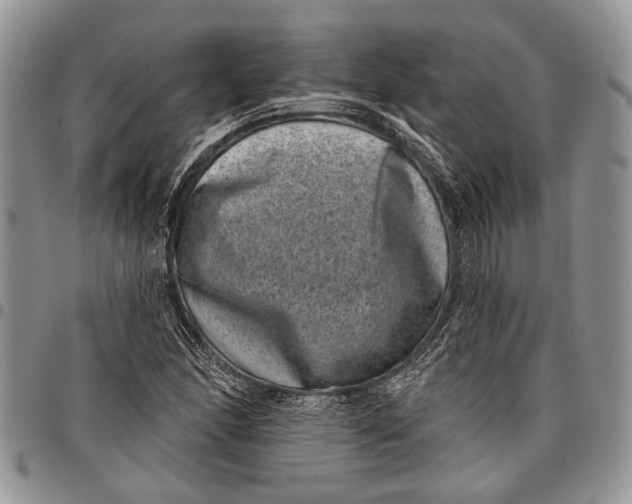 X0000097951166200804140956
