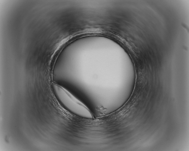 X0000097951168200804140956
