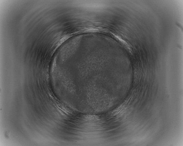 X0000097951170200804140956