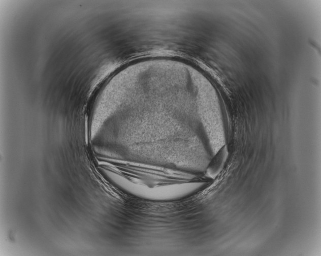 X0000097951171200804140955