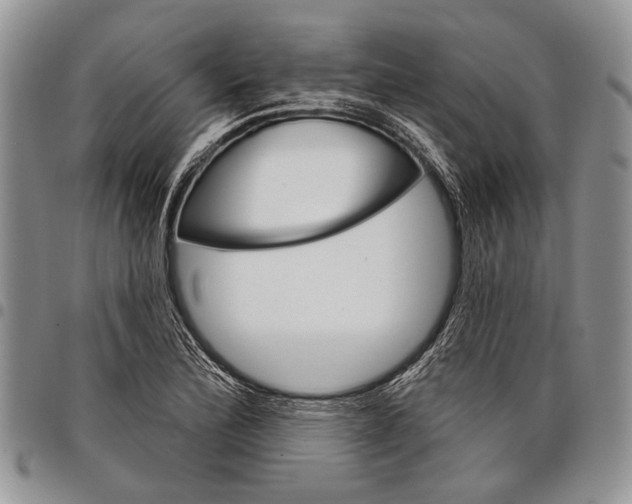 X0000097951172200804140955