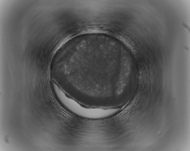 X0000097951173200804140955