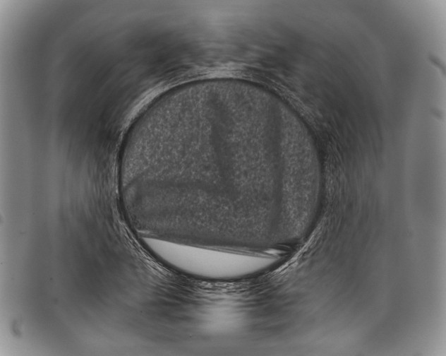 X0000097951174200804140955