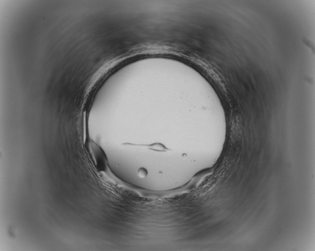 X0000097951175200804140955