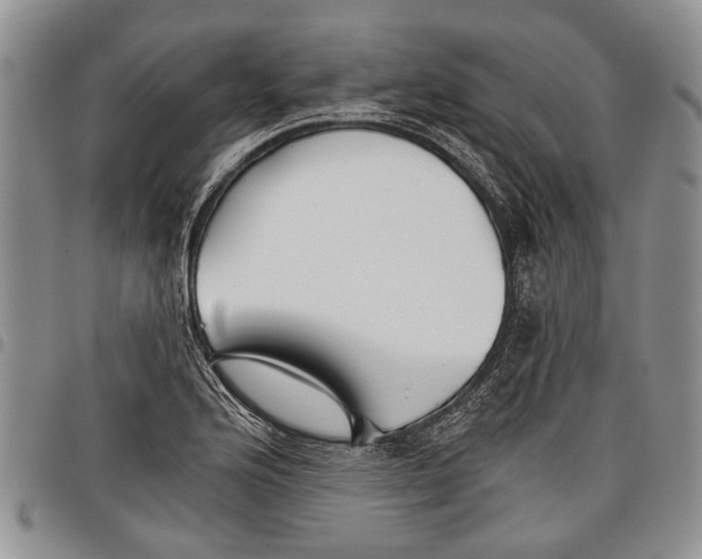 X0000097951176200804140955