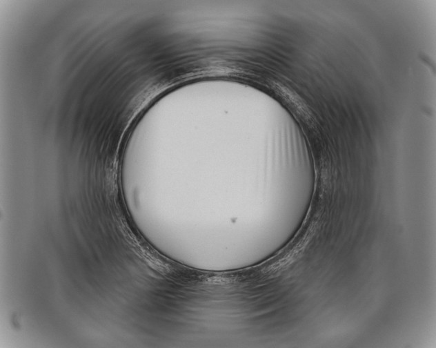 X0000097951178200804140955