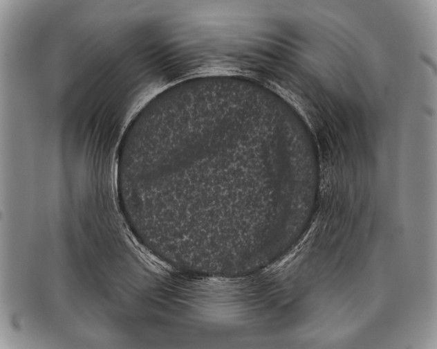 X0000097951179200804140955
