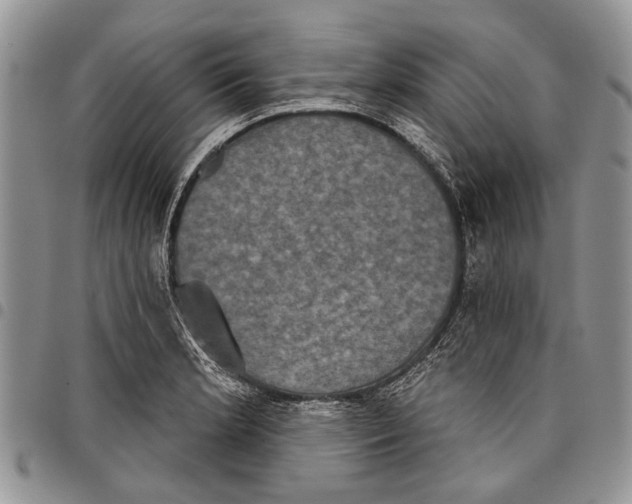 X0000097951181200804140955