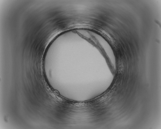 X0000097951182200804140955