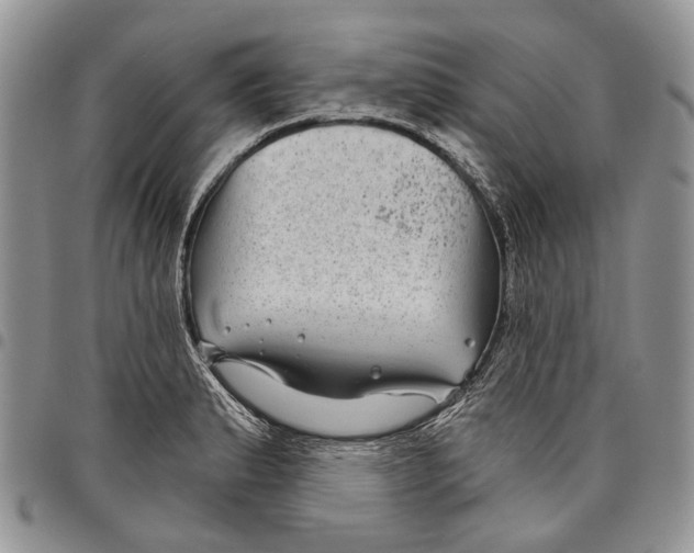 X0000097951183200804140955