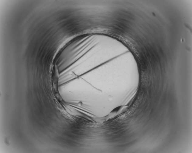 X0000097951184200804140955