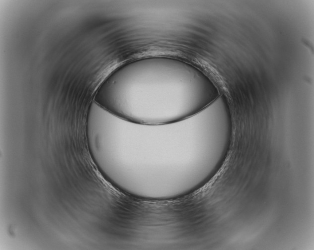 X0000097951185200804140955