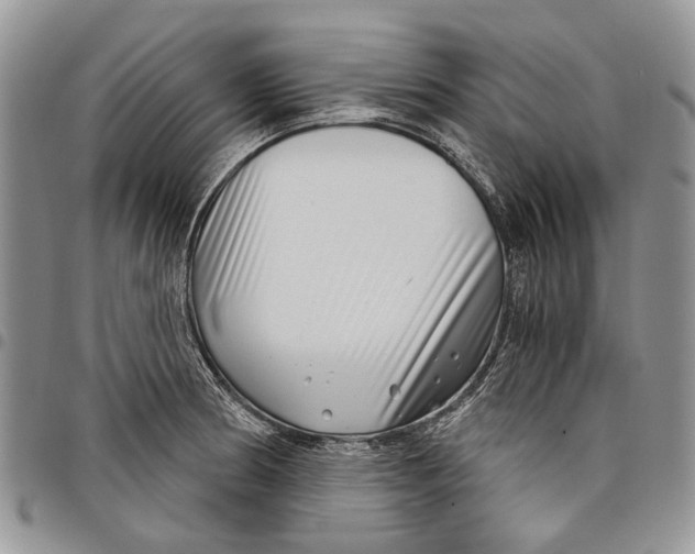 X0000097951186200804140955