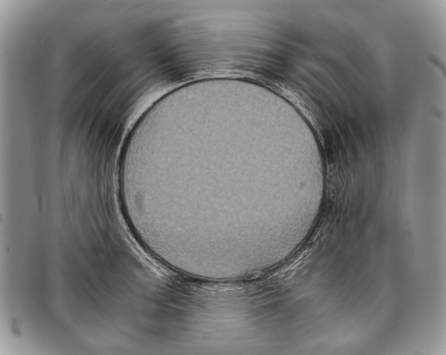 X0000097951187200804140955