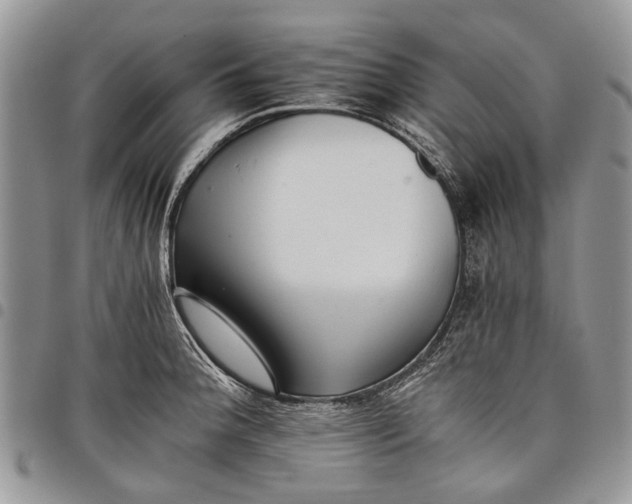 X0000097951188200804140955