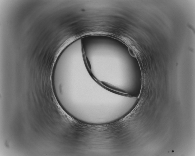 X0000097951189200804140955