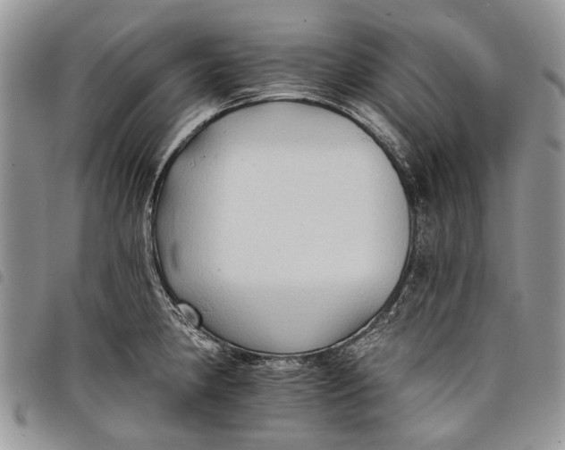 X0000097951190200804140955