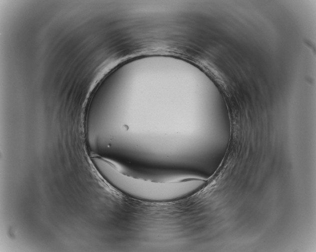 X0000097951192200804140955