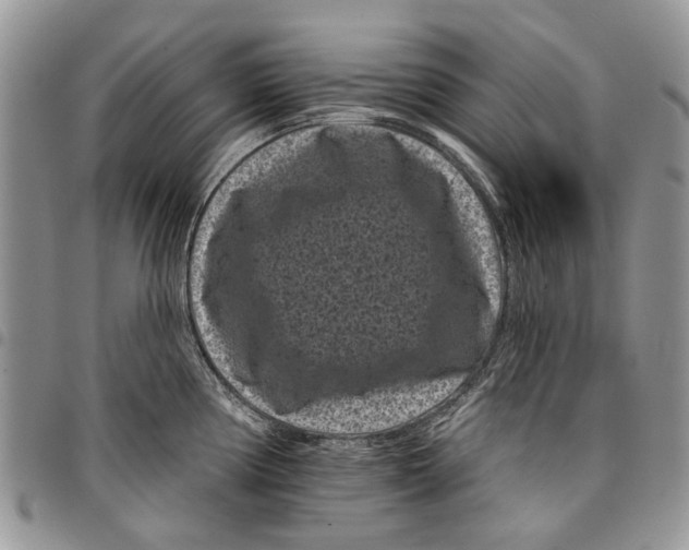 X0000097951194200804140955