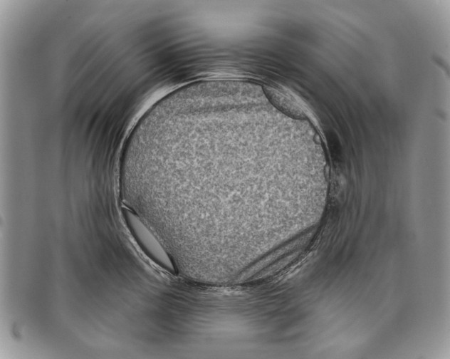 X0000097951195200804140955