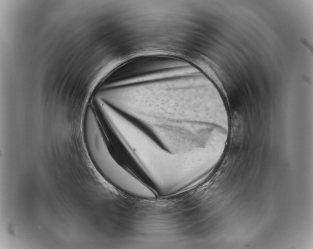 X0000097951197200804140955