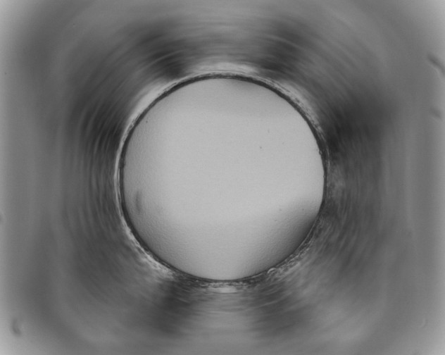 X0000097951199200804140955