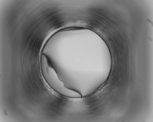 X0000097951200200804140955
