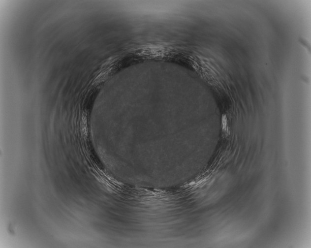 X0000097951203200804140954