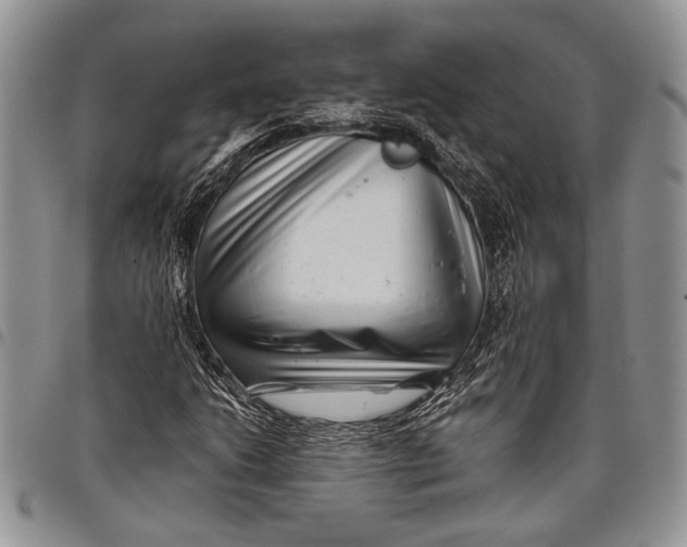 X0000097951206200804140954