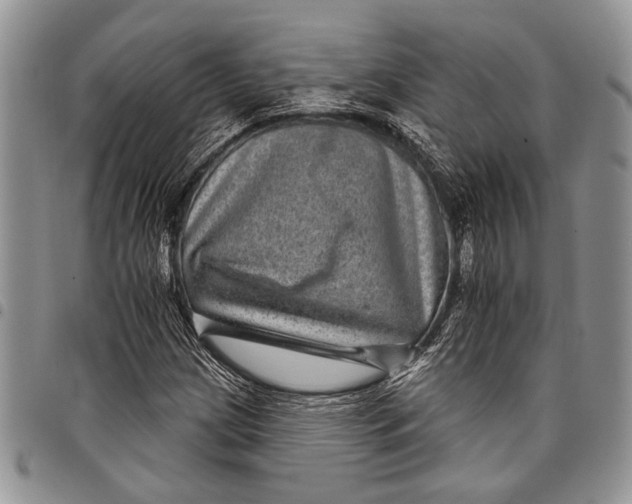 X0000097951209200804140954
