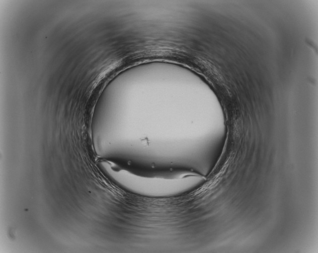 X0000097951210200804140954