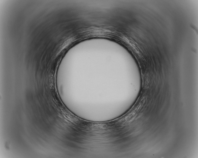X0000097951211200804140954
