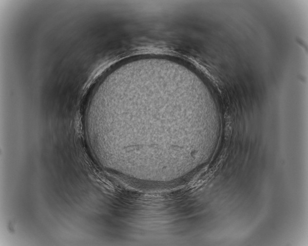 X0000097951215200804140954