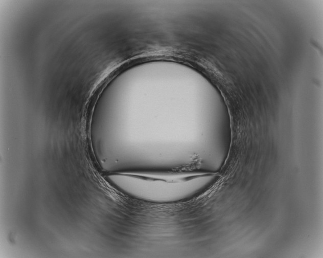 X0000097951216200804140954