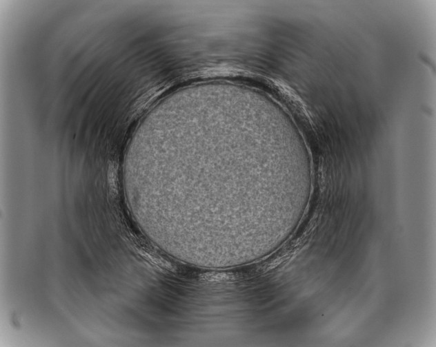 X0000097951217200804140954
