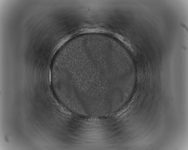 X0000097951221200804140955