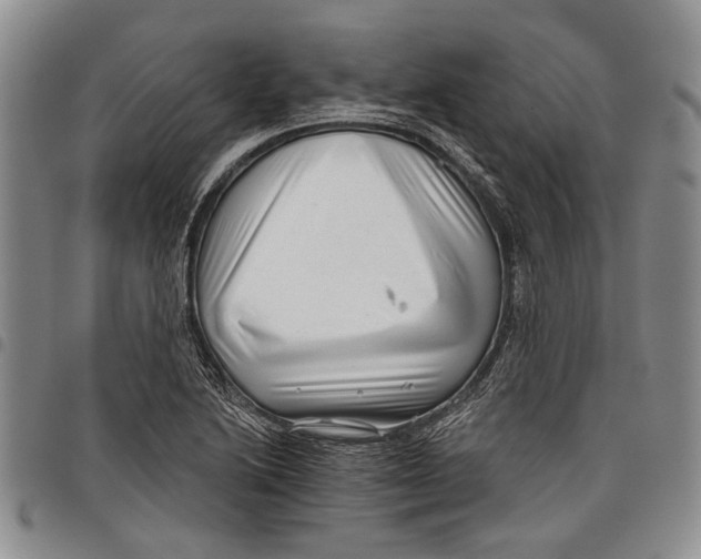 X0000097951222200804140955