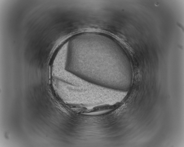 X0000097951223200804140955