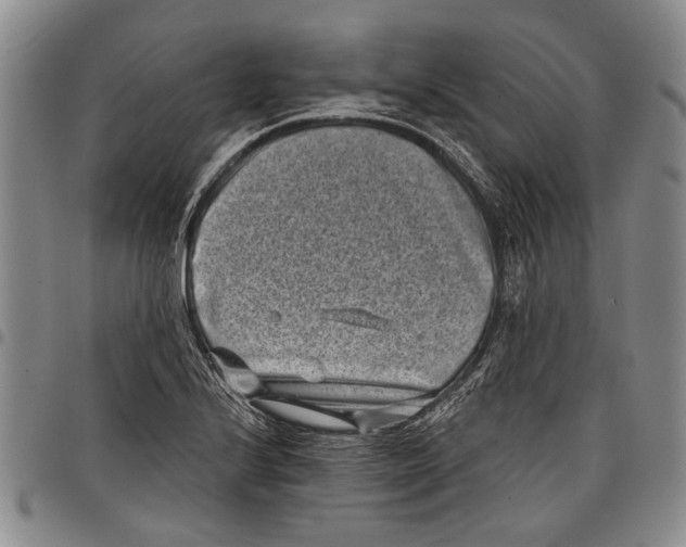X0000097951224200804140955