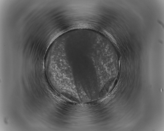 X0000097951226200804140955