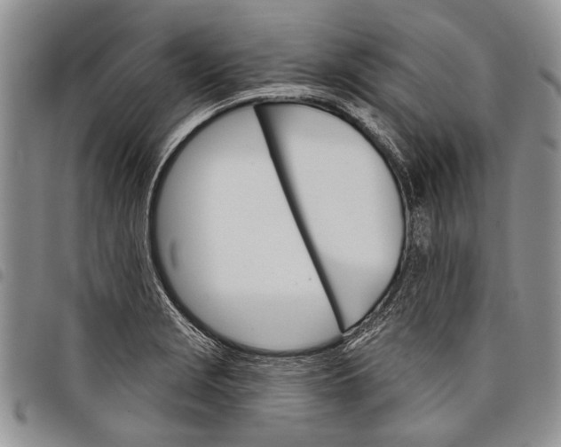 X0000097951229200804140955