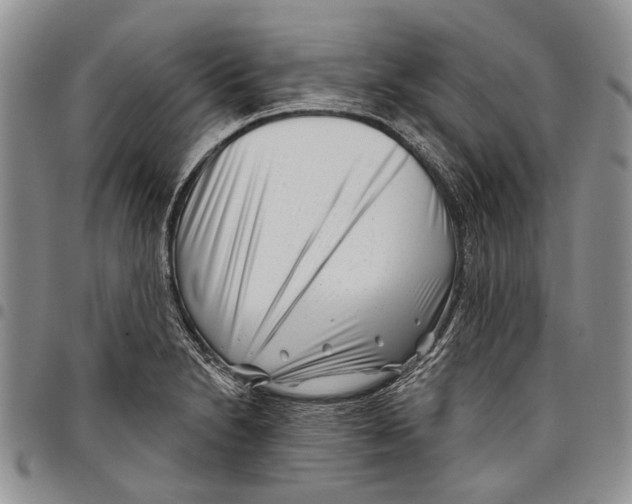 X0000097951230200804140955