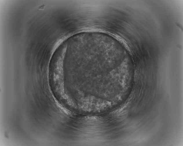 X0000097951231200804140955