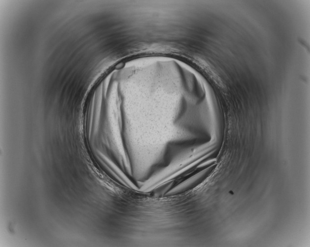 X0000097951232200804140955