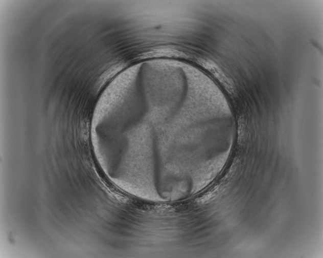 X0000097951233200804140955