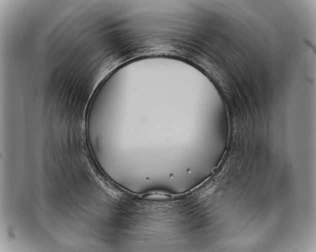 X0000097951234200804140955