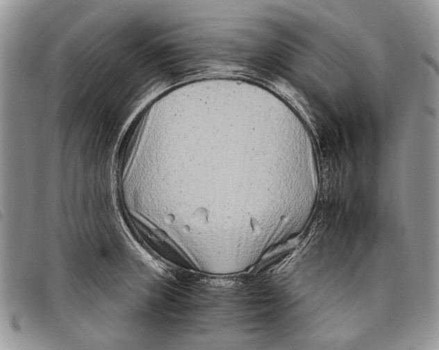 X0000097951235200804140955