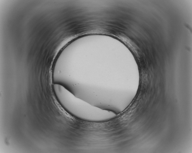 X0000097951238200804140955