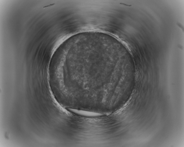 X0000097951239200804140955